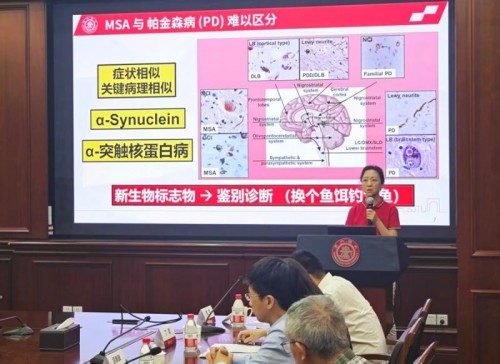 帕金森病和多系统萎缩早区分，中国团队发现全新脑脊液“分型密码”